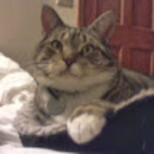 Meet your Posher, Judith